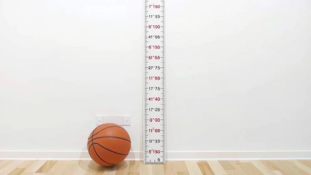 Hur lång är Mauri egentligen